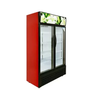Refrigeration Two Big Glass Door Upright Display Fridge 688L